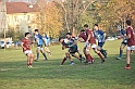 MAS_7196