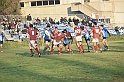 MAS_7202