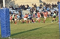 MAS_7207