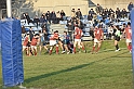 MAS_7208