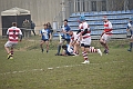 MAS_4081