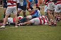 MAS_4229