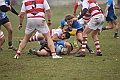 MAS_4280