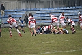 MAS_4337