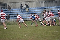MAS_4342