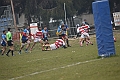 MAS_4397