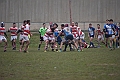 MAS_4495