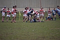 MAS_4497