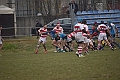 MAS_4517