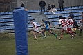 MAS_4599