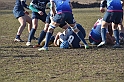 MAS_1419