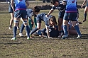 MAS_1423