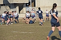 MAS_1445