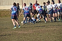 MAS_1533