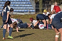 MAS_1593