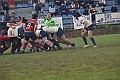MAS_1385