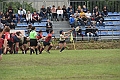 MAS_1482