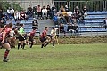 MAS_1483