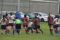 MAS_1534