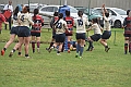 MAS_1538