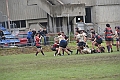 MAS_1554