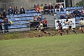 MAS_1559