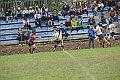 MAS_1560
