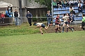 MAS_1565
