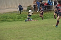 MAS_1570
