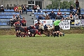 MAS_1574