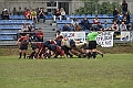 MAS_1575