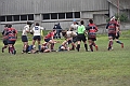 MAS_1593