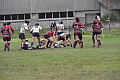 MAS_1594