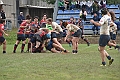 MAS_1606