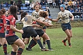 MAS_1617