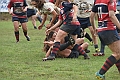 MAS_1619