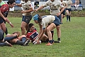 MAS_1623