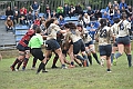 MAS_1631