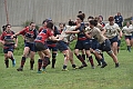 MAS_1638