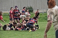 MAS_1649