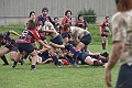 MAS_1651