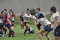 MAS_1656