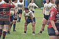MAS_1687