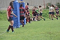 MAS_1699