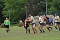 MAS_1731