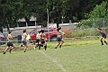 MAS_1741