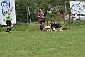 MAS_1768