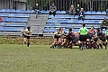 MAS_1773