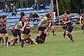 MAS_1782