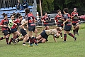 MAS_1784
